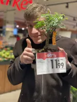 ZIE JIJ TUSSEN HET BOS DE BOMEN NIET MEER? 🌳
